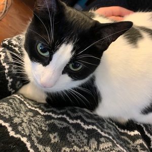 Meet your Posher, Tina